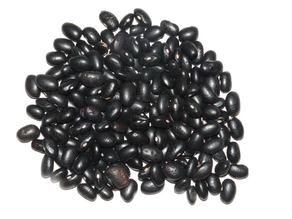 Alubia Negra (frijol) Ecológico