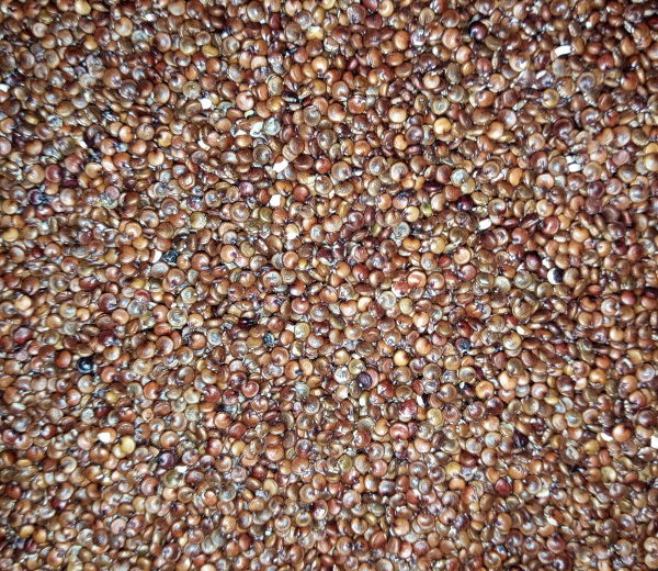 Quinoa Roja Ecológica