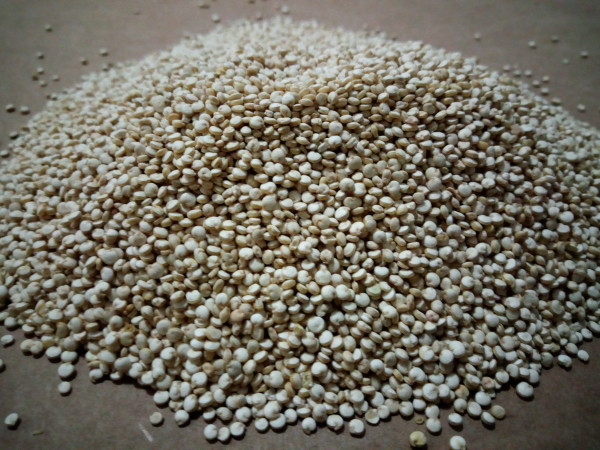 Quinoa blanca Ecológica