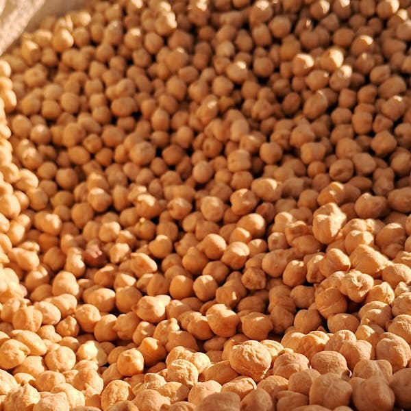Harina de Garbanzos Ecol&oacute;gica
